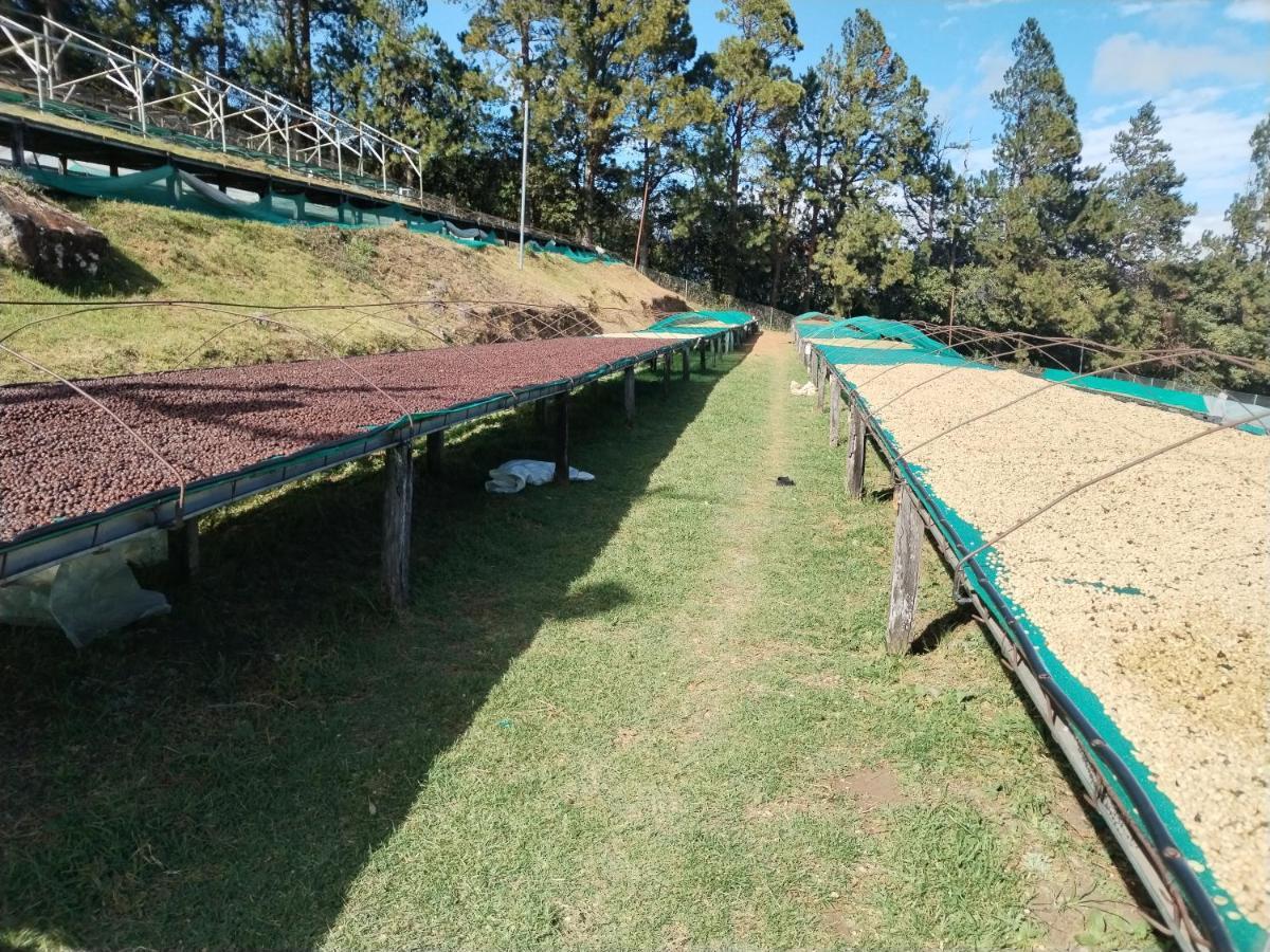 Campestre House Villa Alto Boquete Екстериор снимка