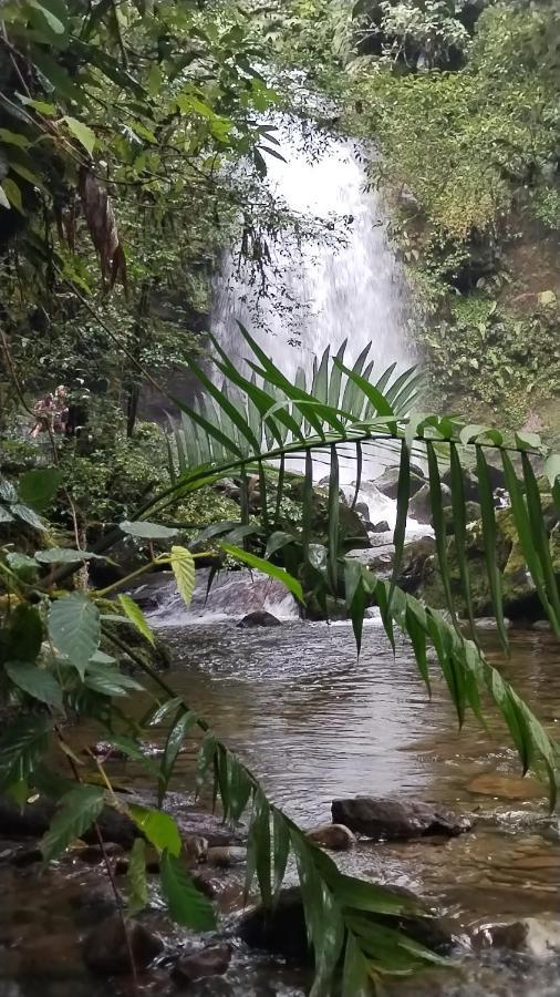 Campestre House Villa Alto Boquete Екстериор снимка