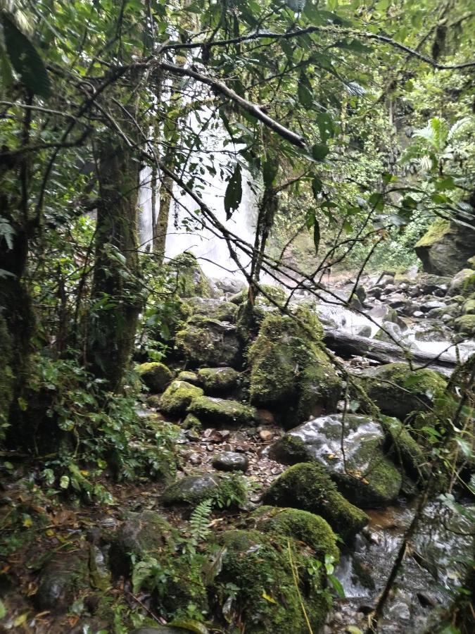 Campestre House Villa Alto Boquete Екстериор снимка
